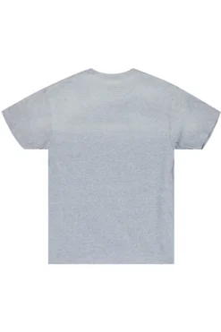Palmer Grey Graphic T-Shirt -The Fresh Brand Shop DeltaGreyGraphicT Shirt2 scaled